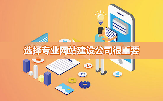 選擇專業(yè)網站建設公司很重要